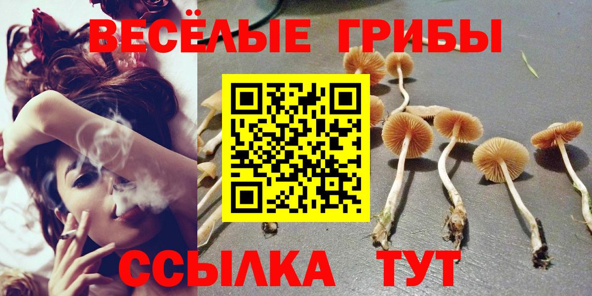 Мефедрон   LSD-25  Железногорск  Вход с VPN  АМФ кристаллы  ГАШ  Alpha-PVP СК   Канабис 